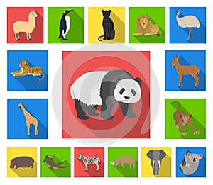 Different animals flat icons in set collection for design. Bird, predator and herbivore vector symbol stock web