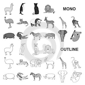 Different animals monochrom icons in set collection for design. Bird, predator and herbivore vector symbol stock web