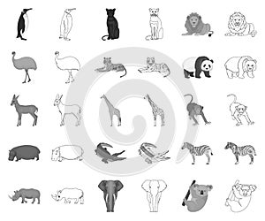 Different animals monochrome,outline icons in set collection for design. Bird, predator and herbivore vector symbol
