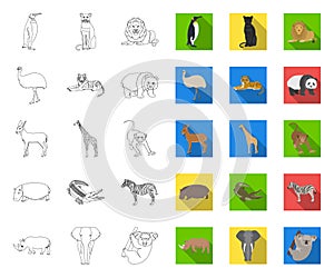 Different animals outline,flat icons in set collection for design. Bird, predator and herbivore vector symbol stock web