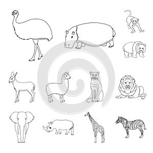 Different animals outline icons in set collection for design. Bird, predator and herbivore vector symbol stock web