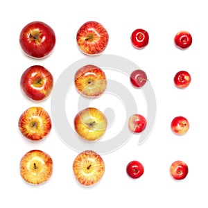 Different apples fruits in row isolated on white background