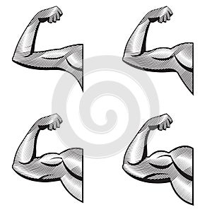 Different arms with contracted biceps.