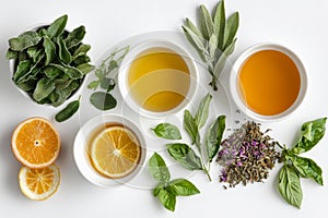 Different aromatic spices and herbs arranged on a white background in a flat lay