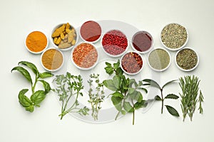 Different aromatic spices and herbs on white background, flat lay