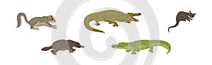 Different Australian Animals with Platypus, Crocodile and Bilby Vector Set