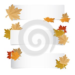 Different Autumn Web Banner With Colorful Leafes