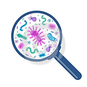 Different bacteria, pathogenic microorganisms under a magnifying glass. Bacteria and germ, microorganisms disease-causing,
