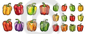 Different bell peppers. Cartoon pepper red, green and yellow. Isolated fresh vegetables, farm market products. Vitamin