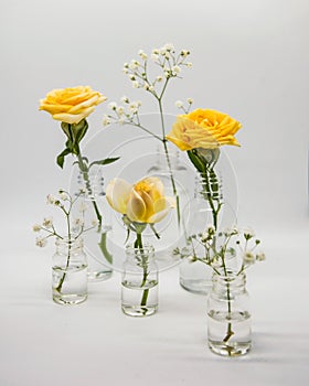 Different bottles with roses and gypsophila on a white background.