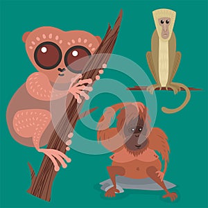 Different breads monkey character animal wild zoo ape chimpanzee vector illustration.