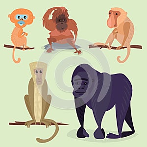 Different breads monkey character animal wild zoo ape chimpanzee vector illustration.