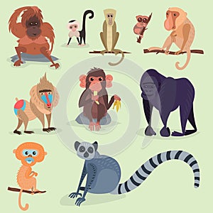 Different breads monkey character animal wild zoo ape chimpanzee vector illustration.