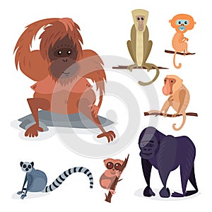 Different breads monkey character animal wild zoo ape chimpanzee vector illustration.