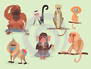 Different breads monkey character animal wild zoo ape chimpanzee vector illustration.