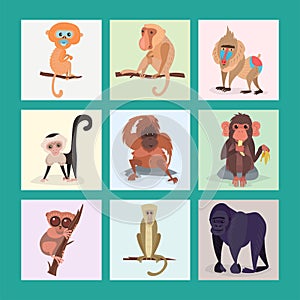 Different breads monkey print cards character animal wild zoo ape chimpanzee vector illustration.