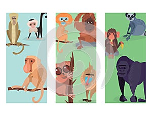 Different breads monkey print cards character animal wild zoo ape chimpanzee vector illustration.