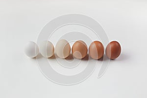 Different brown colors eggs on white background. Color gradient. Zero waste Easter concept.