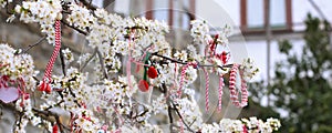 Different Bulgarian Martenitsa on blossoming tree