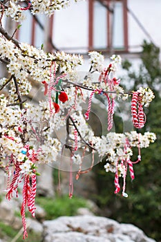 Different Bulgarian Martenitsa on blossoming tree