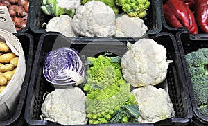 different cabbages in a store