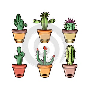 Different cacti in pots collection. Colorful desert plants in brown containers for decoration. Exotic flora and