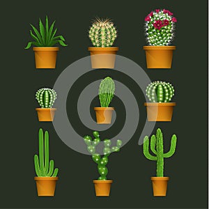 Different cactus types in flower pot realistic vector icons set