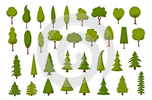 Diverso progettazione della pittura foresta pino abete alberi impostato 