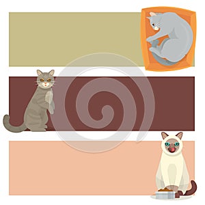 Different cat banners cards cute kitty pet cartoon cute animal cattish character set catlike illustration photo