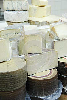 Different Cheeses photo