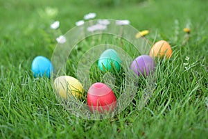 Different color Easter eggs in a grass