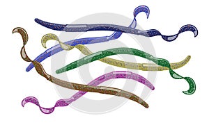 Different color varieties of soft plastic worm baits.