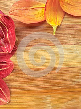 Different colored dahlia flower petals border on wooden background