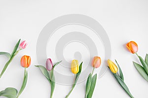 Different colorful tulips on white table