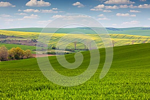 Different colors of fields in countryside, spring landscape