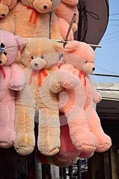 different  colour hanging  teddy bear