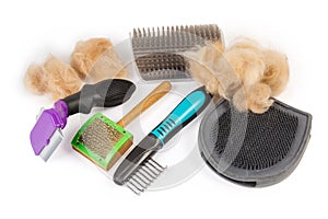 Different combs and brushes for pets hair care, hair clumps