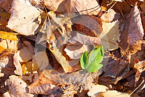 different concept image