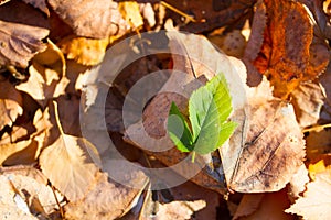 different concept image