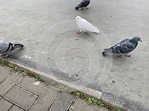 Different concept image