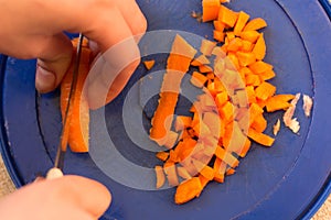 Different cuts of carrot in bowls