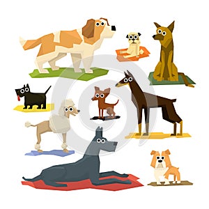 Different Dog Breeds Collection