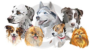 Different dog breeds set