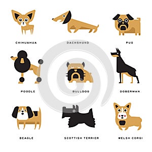 Different dogs breeds characters set of vector Illustrations and lettering breed in English