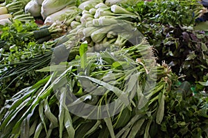 Different ecological vegetables on market photo