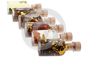 Different edible oils