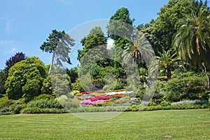 Different excotic plants in the botanicl garden Villa Carlotta