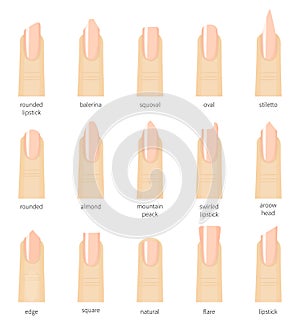 Different fashion nail shapes. Set kinds of nails. Salon nails type trends.