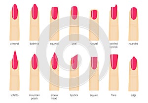 Different fashion nail shapes. Set kinds of nails. Salon nails type trends. Different nail shapes and nail polish colors