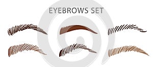 Different female eyebrow icons set. Makeup brows